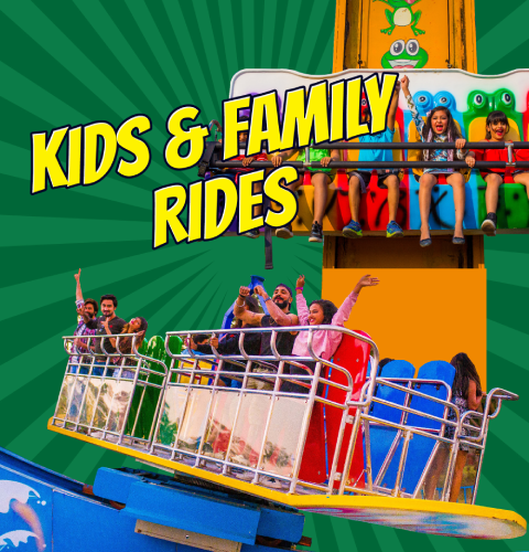 Thrilling Amusement Park Rides